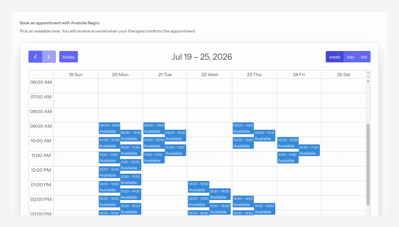 The auto-scheduling page, with the free intervals