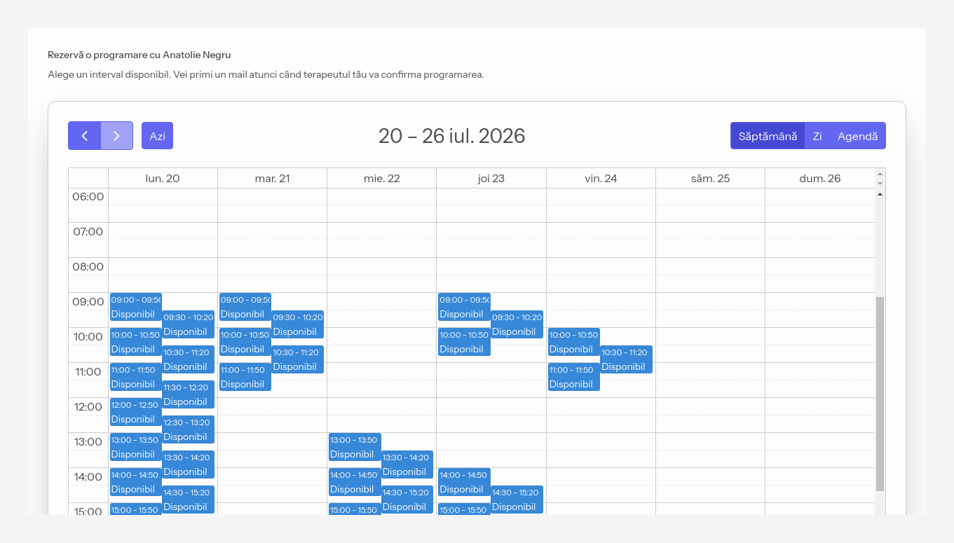 Pagina de auto-programare, cu intervalele libere